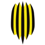 Rukh Vynnyky