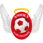 Anioly