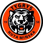 Tygrys