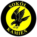 Sokół Kamień