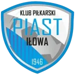 Vitrosilicon Iłowa