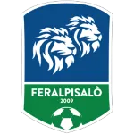 FeralpiSalo Srl