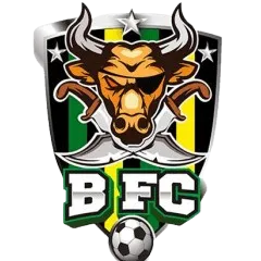BFC