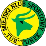 Tur Turek