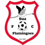 Flamingoes