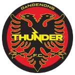 Dandenong T. U23