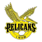 Pelicans