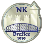Brežice U19