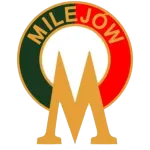 Tur Milejów