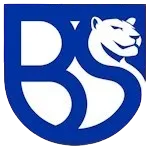 Union Brescia
