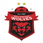 Wollongong U20