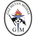 Gaz Metan Mediaş