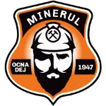 Minerul Ocna Dej