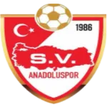 Anadolu Koblenz