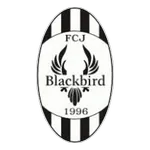 Jyväskylä Blackbird