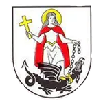 Sokol Liesek