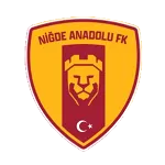 Niğde Anadolu FK