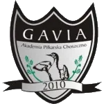 Gavia Choszczno