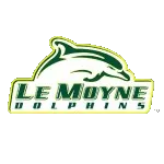 Dolphins