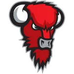 Bisons