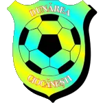 Dunarea Ciocaneşti