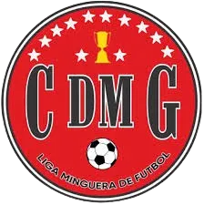 Minga Guazú