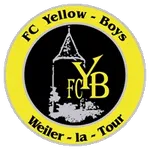Yellow Boys