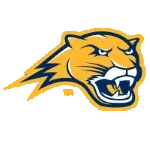 Cougars