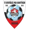 Bystřice