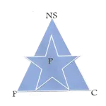 New Star