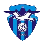 Bur Fouad