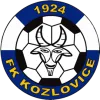 Kozlovice
