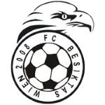 Besiktas Wien