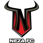 Toros Neza