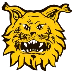 Ilves II