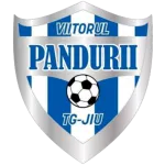 Viitorul TG II