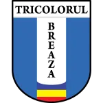 Tricolorul Breaza