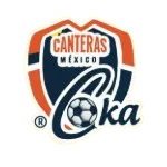 Cantera Coka