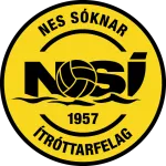 NSİ (K)