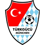 Türkgücü