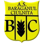 Tâlna Oraşul Nou