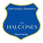 Los Halcones
