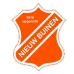 Nieuw Buinen