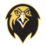 Falcons