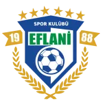 Eflanispor