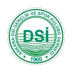 Ankara D.S.İ.