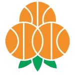Umea BBK