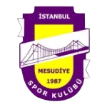 İst.Mesudiye
