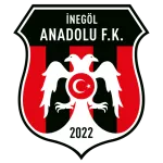 İnegöl Anadolu
