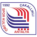 Alanyagücü